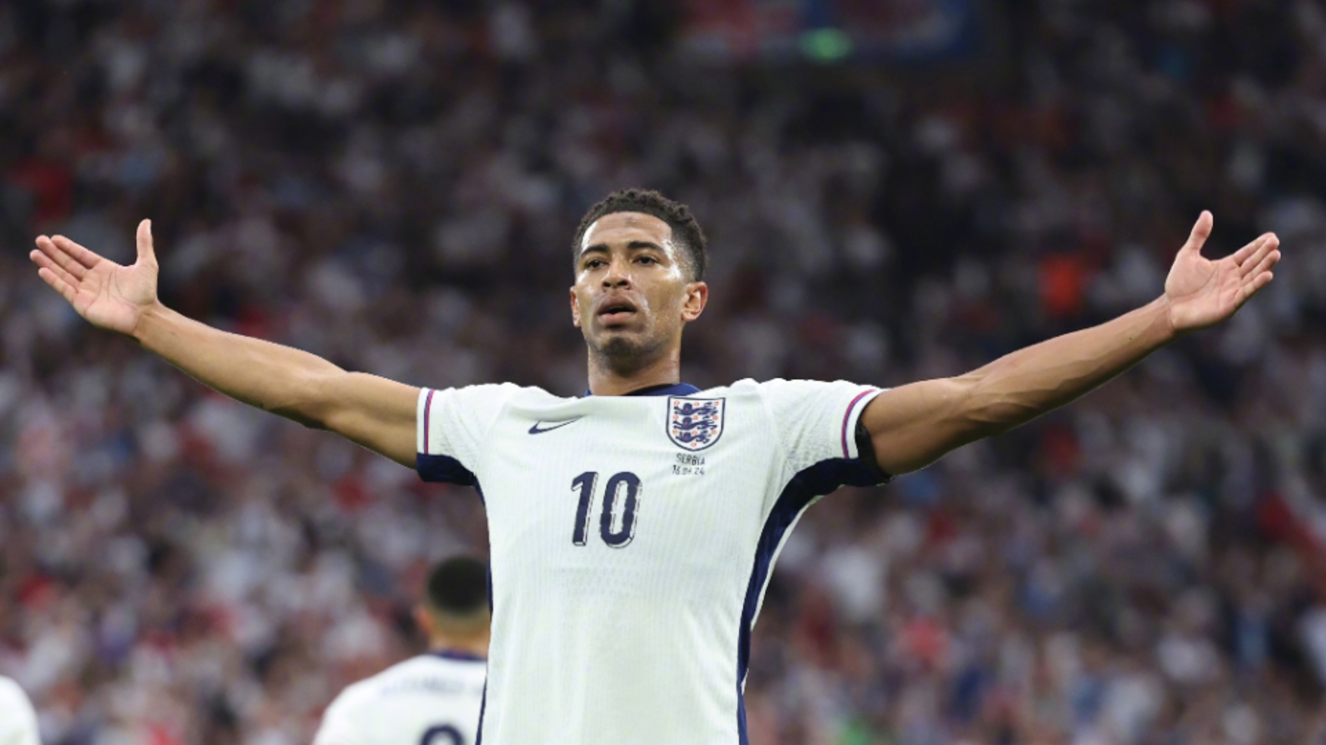 多样性报告发布