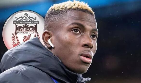 DO：阿森纳小将道曼脚踝韧带损伤，预计将缺席2个月